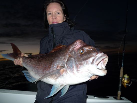 Dave Irvine Memorial Snapper Classic results